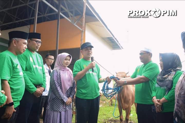 Idul Adha 1445 H, Pemkab Inhil Qurban 14 Ekor Sapi. Pj Bupati Herman Lakukan Penyembelihan Pertama