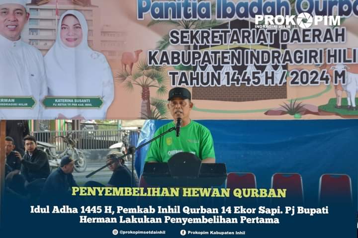 Idul Adha 1445 H, Pemkab Inhil Qurban 14 Ekor Sapi. Pj Bupati Herman Lakukan Penyembelihan Pertama