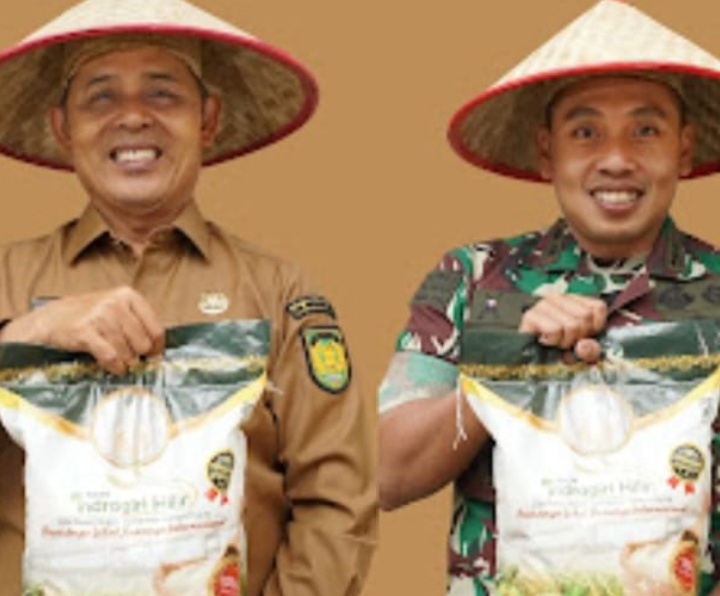 Peluang Investasi Produksi Padi di Kabupaten Inhil