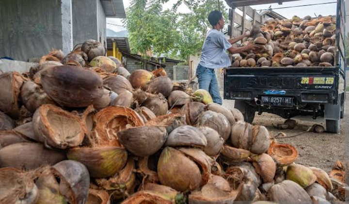 Potensi Investasi Agroindustri Sabut Kelapa Inhil